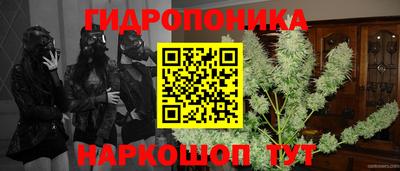 стаф Татарск
