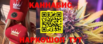 сатива Тверь