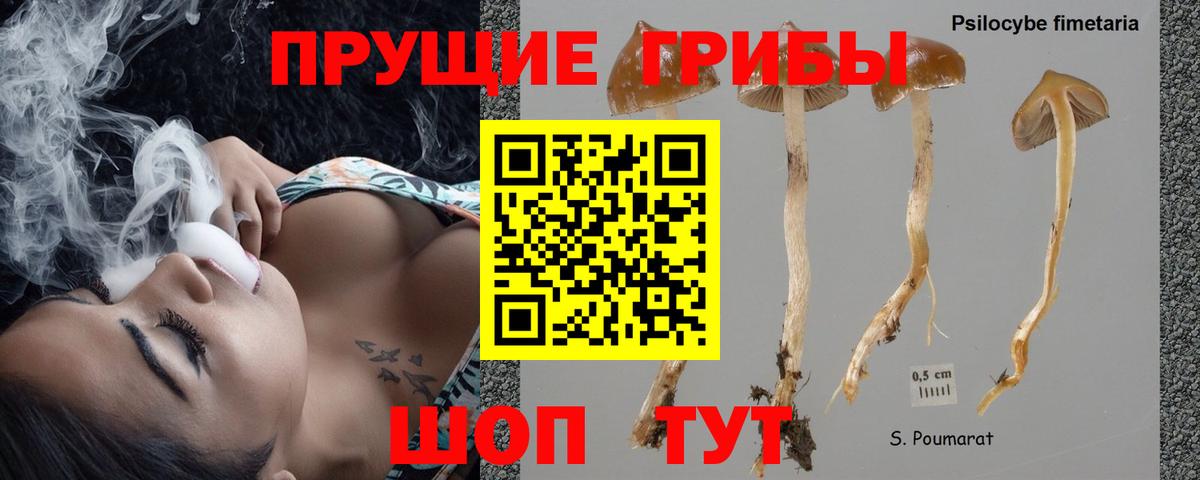 Родники  Галлюциногенные грибы прущие грибы  Вход с VPN 