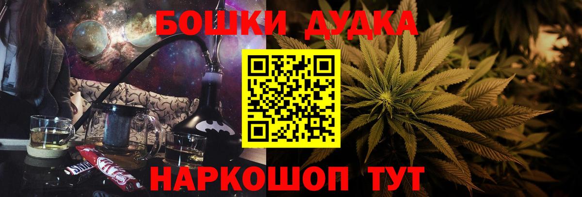 Бошки Шишки планчик Родники